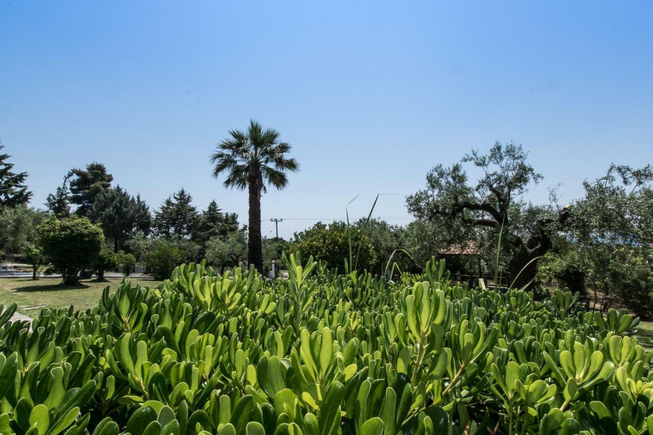 Katerina'S Garden Mola Kaliva Villa Ngoại thất bức ảnh